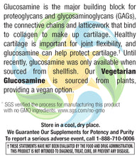 Load image into Gallery viewer, Vegetarian Glucosamine 750 mg Veg Caps 120 Count