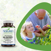 Load image into Gallery viewer, Bilberry - 60 Veggie Caps - Full Spectrum Wild Harvest Bilberry Leaf & Concentrated Extract.