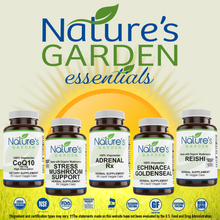 Load image into Gallery viewer, Bilberry - 60 Veggie Caps - Full Spectrum Wild Harvest Bilberry Leaf & Concentrated Extract.
