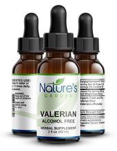 Load image into Gallery viewer, Valerian (Alcohol Free) - 2 oz Liquid Single Herb
