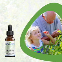 Load image into Gallery viewer, Valerian (Alcohol Free) - 2 oz Liquid Single Herb
