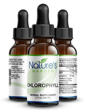 Load image into Gallery viewer, CHLOROPHYLL (Alcohol Free) - 2 oz Liquid Herbal Formula
