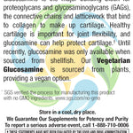 Vegetarian Glucosamine 750 mg Veg Caps 120 Count