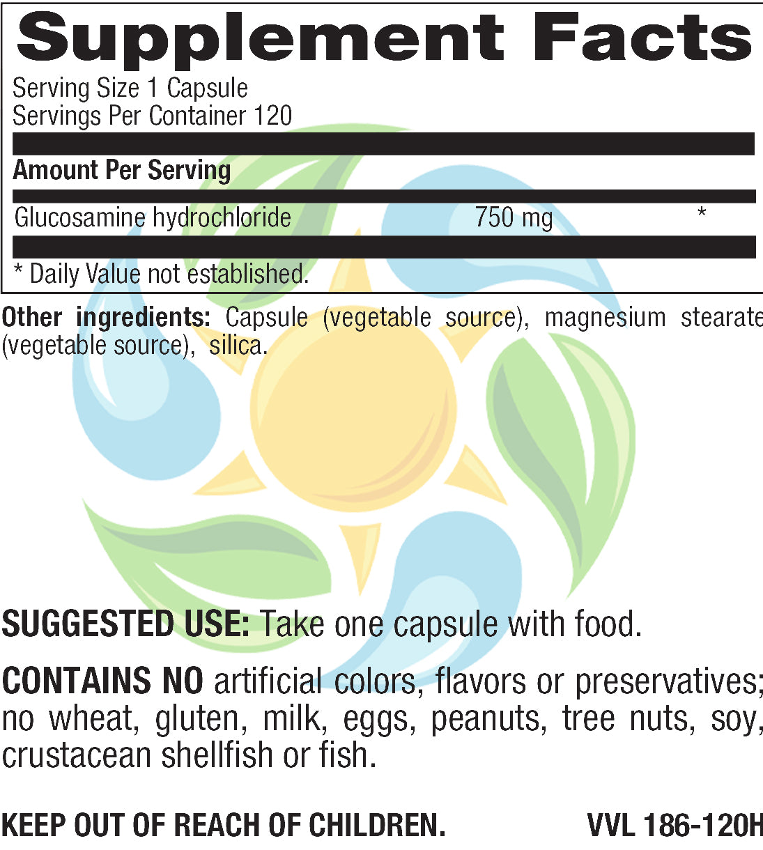 Vegetarian Glucosamine 750 mg Veg Caps 120 Count