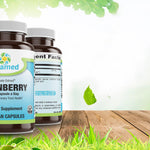 Livamed - Cranberry (Cran-Max®) Veg Caps 90 Count - Livamed Vitamins