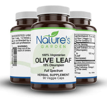 Load image into Gallery viewer, Olive Leaf - 90 Veggie Caps - with 400mg Potent Organic Olive Leaf  Extract
